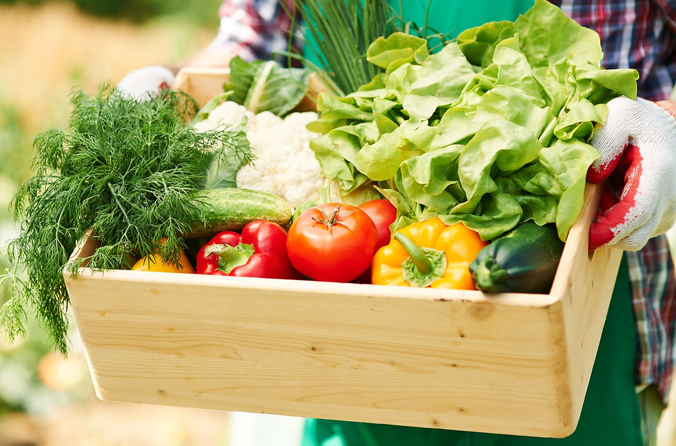 homem segurando uma caixa de alimentos orgânicos