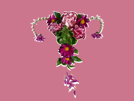 Entendendo a Endometriose: Nutrição e Autoconhecimento para o bem-estar feminino