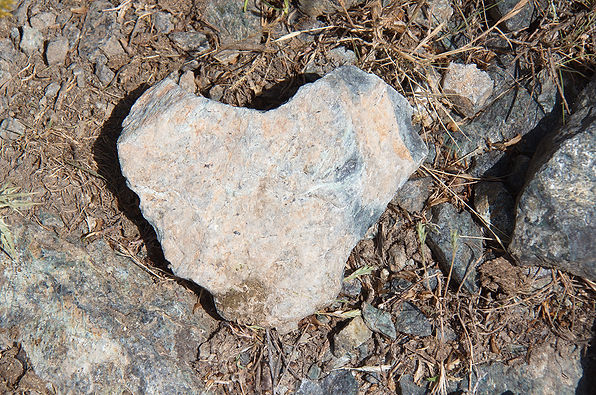 Coeur pour Sam