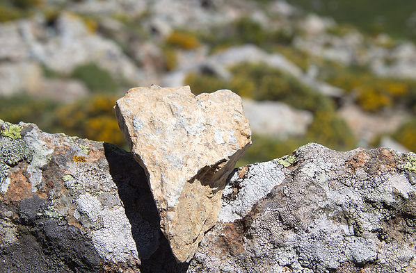 Coeur pour Sam