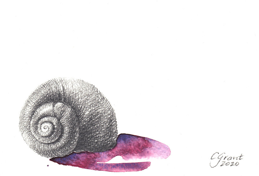 Within the spiral