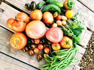 8. Augmenter la part du BIO à la cantine et diminuer le gaspillage alimentaire
