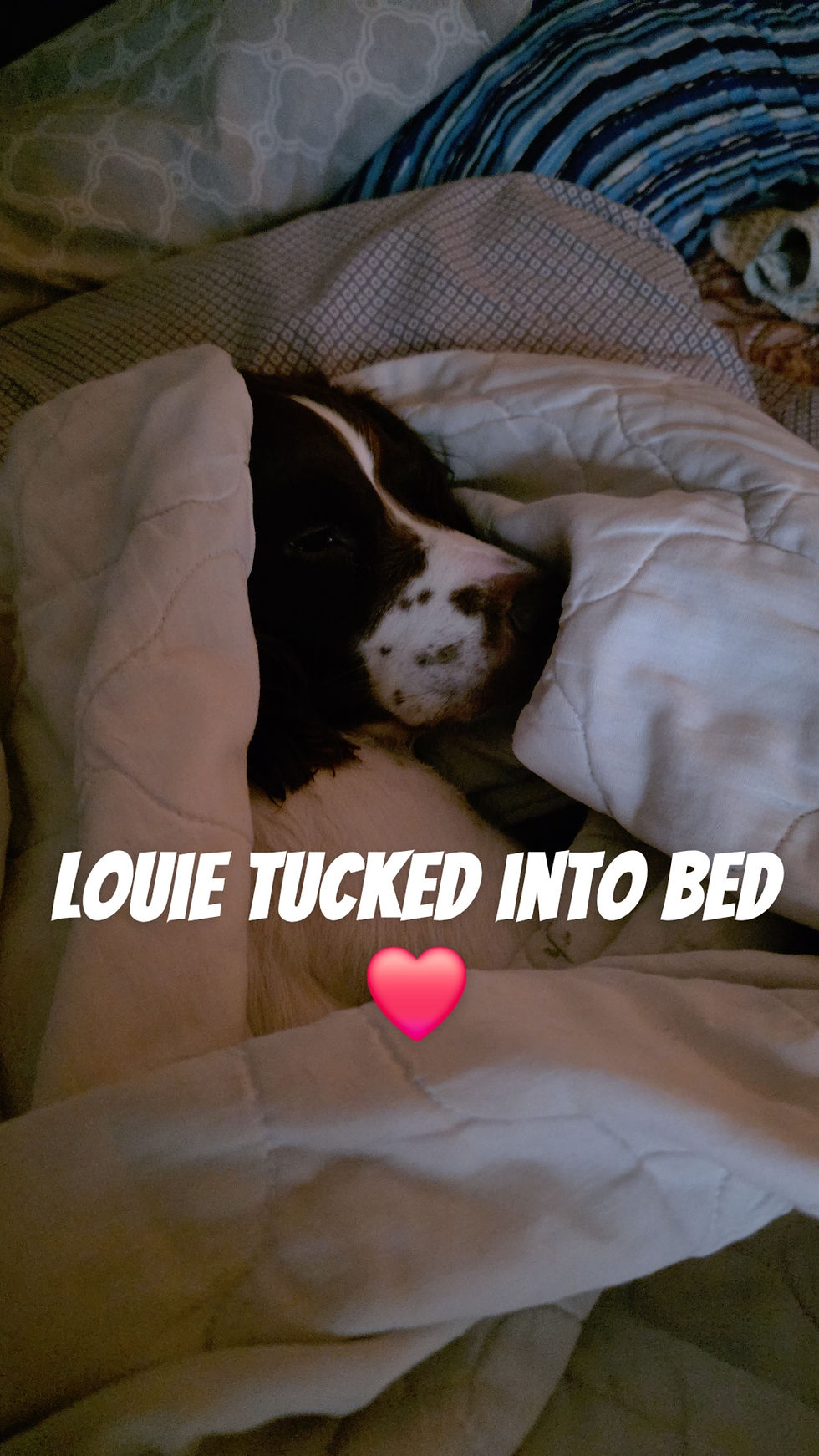 Trials & Tribulations