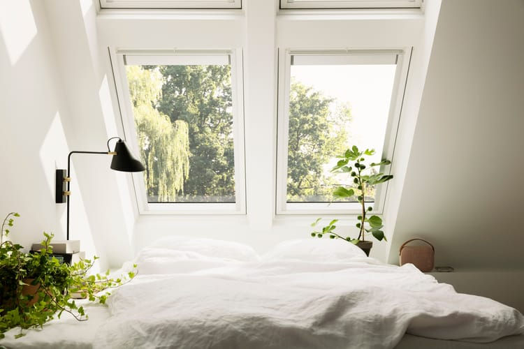 Miniature : VELUX 55 x 70 confort WhiteFinish bois blanc à rotation