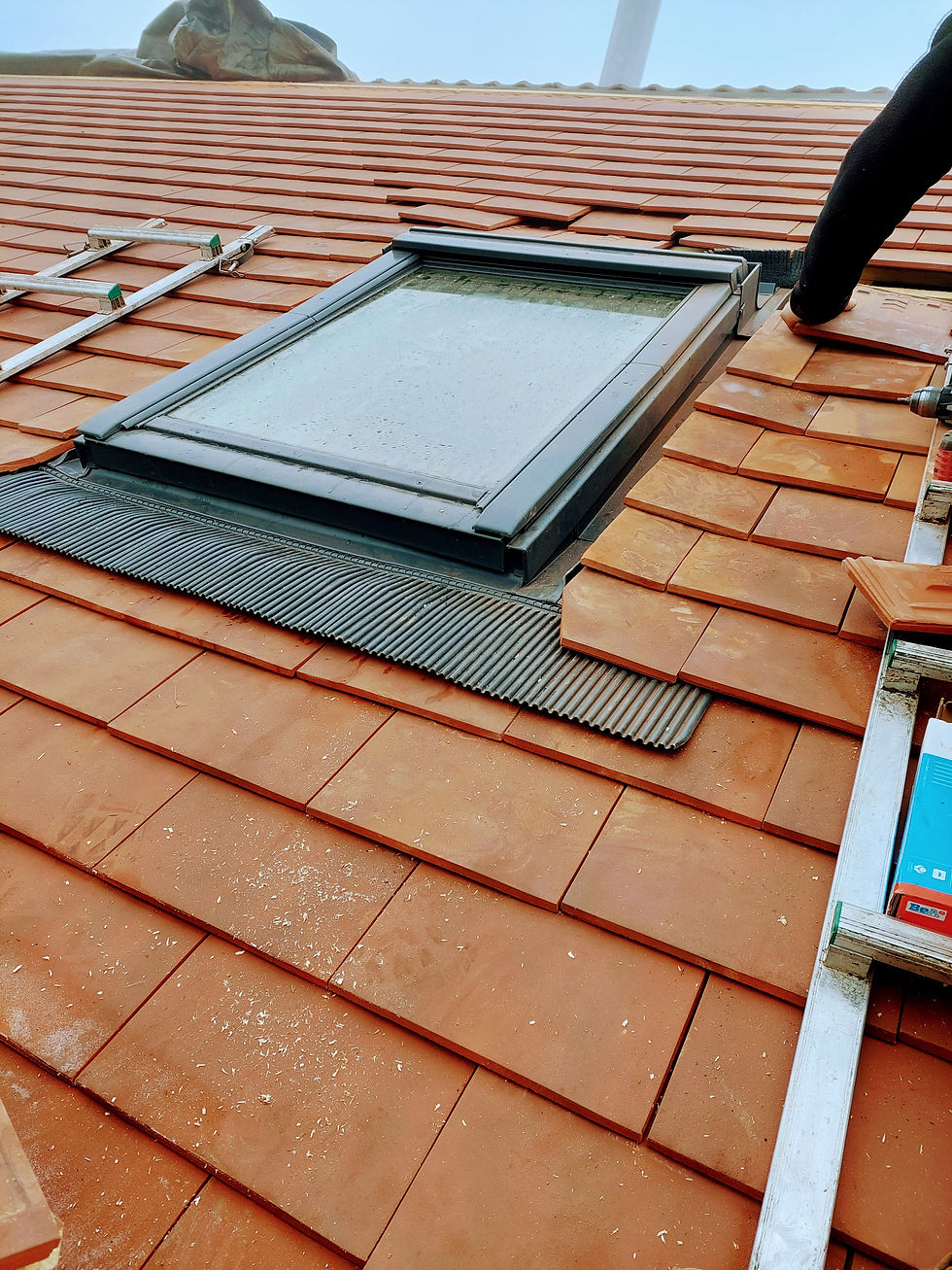 Miniature : VELUX 78 x 98 confort WhiteFinish bois blanc à rotation