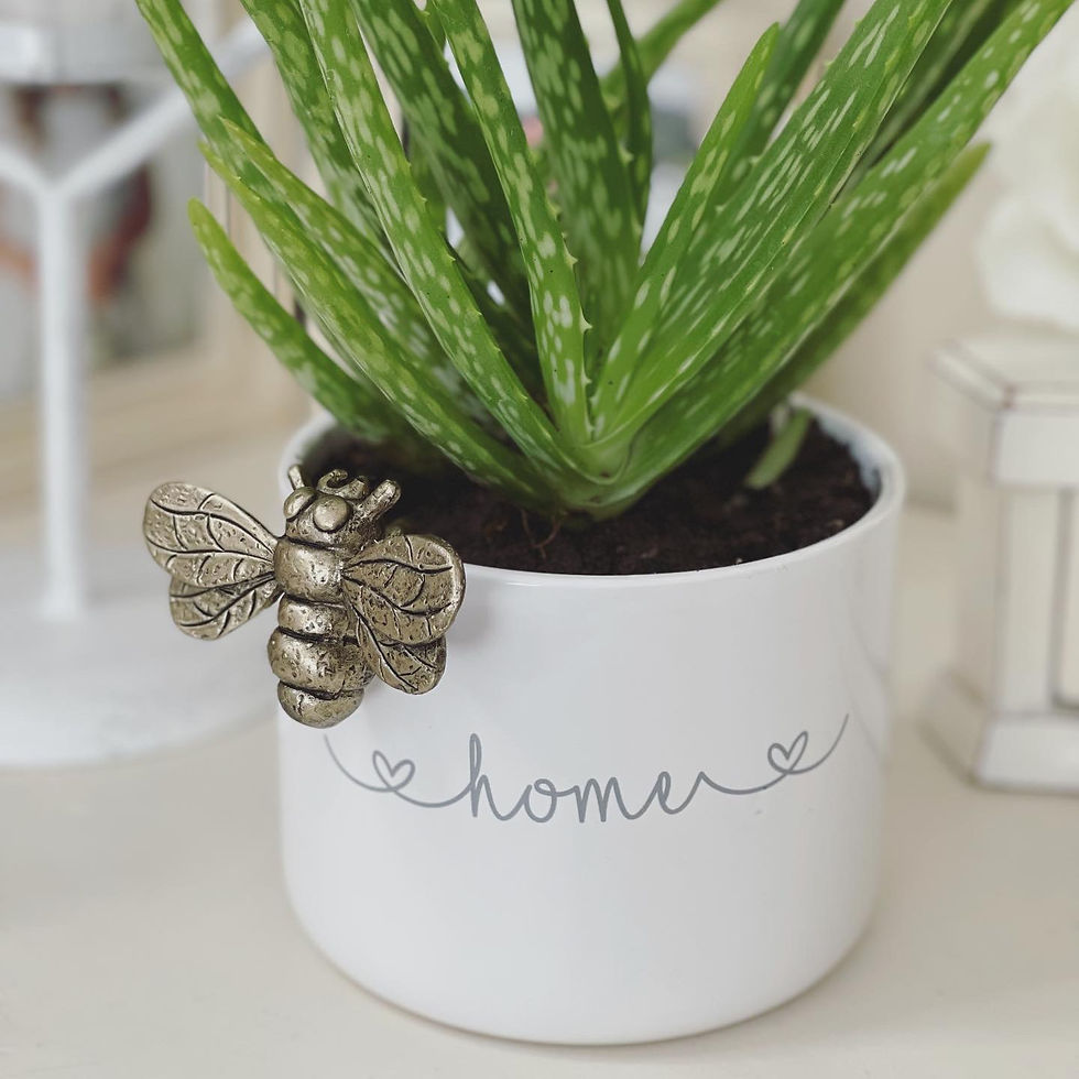 Thumbnail: Set of 3 White Ceramic Pots Home or Love 