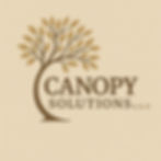Canopy Solutions Logo