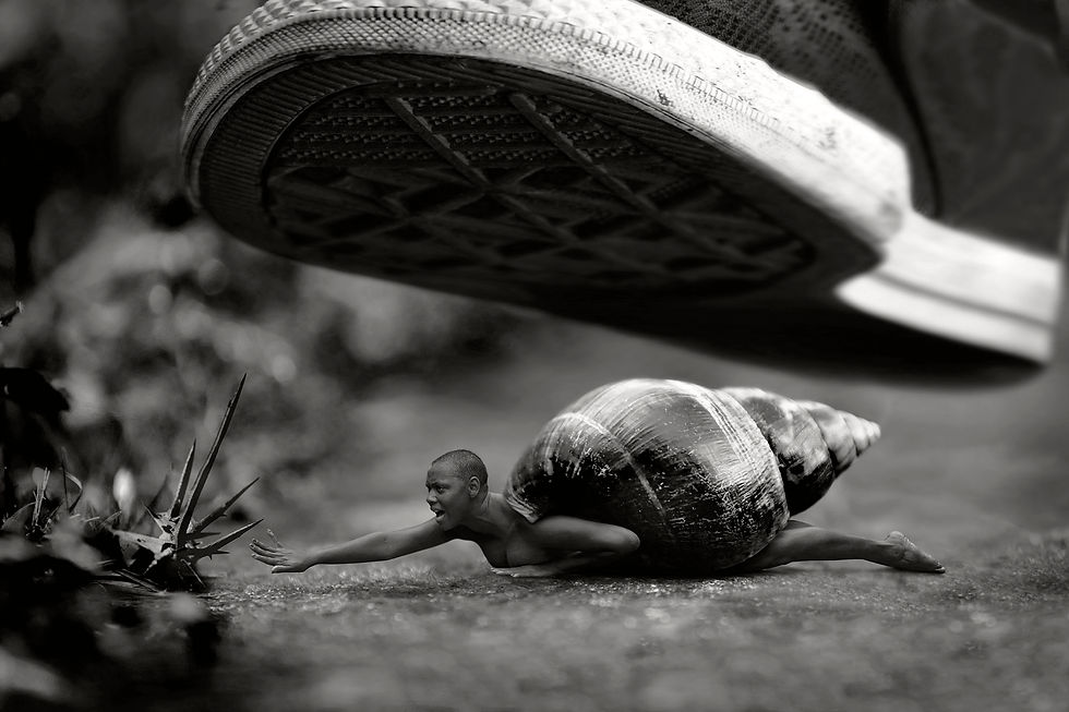 Un dimanche à la campagne 2000px copie.jpg