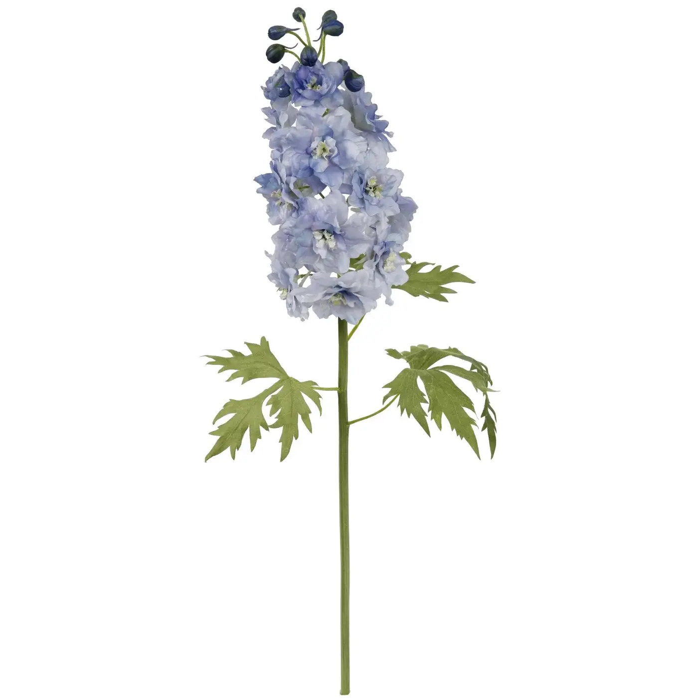 Delphinium 23" Blue