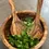 Thumbnail: 11" Olive Wood Family Salad Bowl