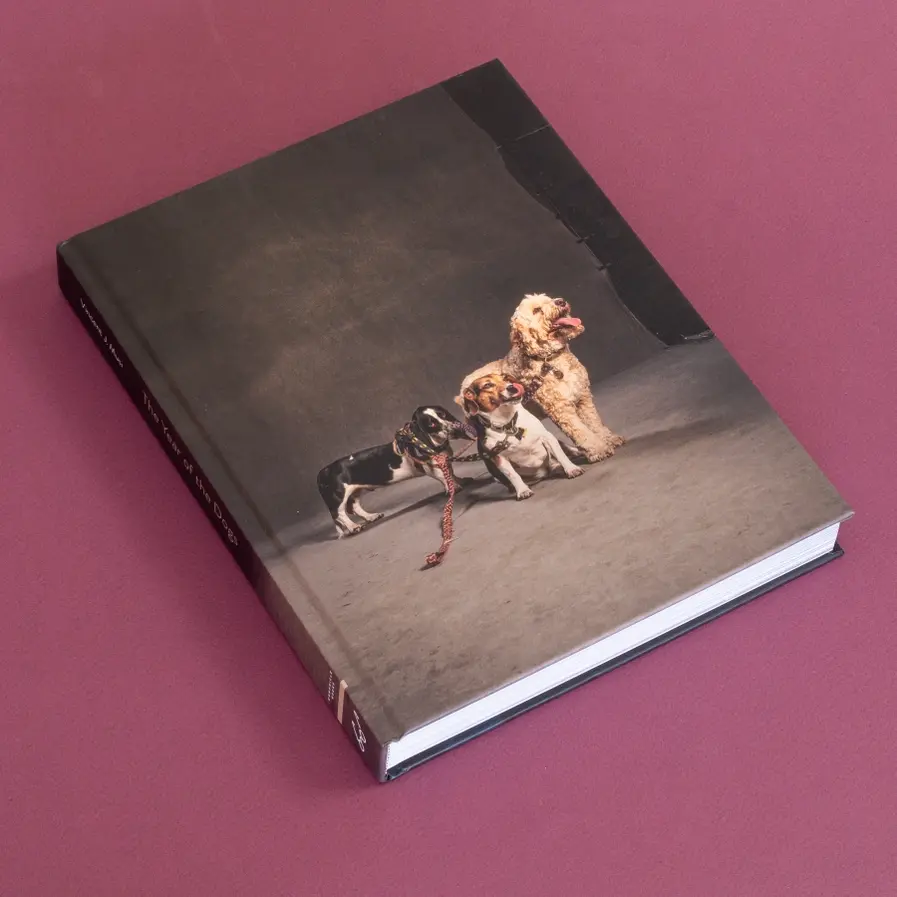 Thumbnail: The Year of the Dogs Book