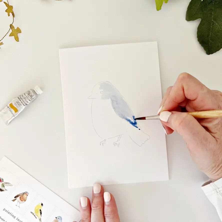 Thumbnail: Backyard Birds Paintable Notecards