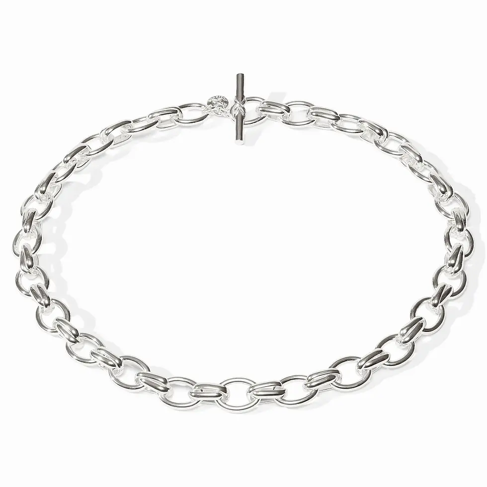 Thumbnail: Essex Link Necklace Silver