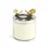 Thumbnail: Butterfly Ginkgo Candle