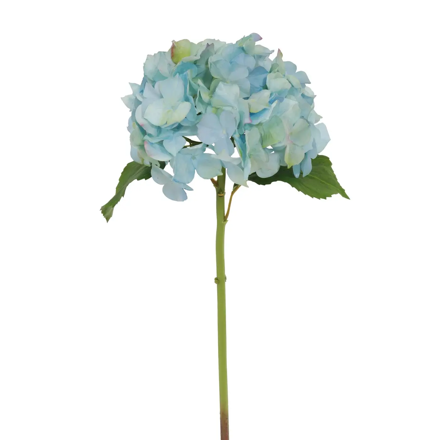 Light Blue Hydrangea 21"