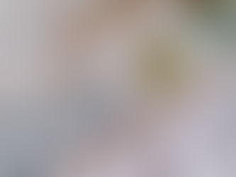 Coleções de Matrizes DEM para Explorar