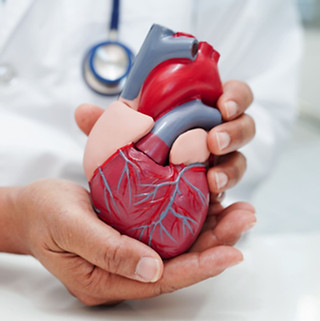 cardiovascular-disease-cvd-doctor-with-heart-human-model-anatomy-treatment-patient-hospita