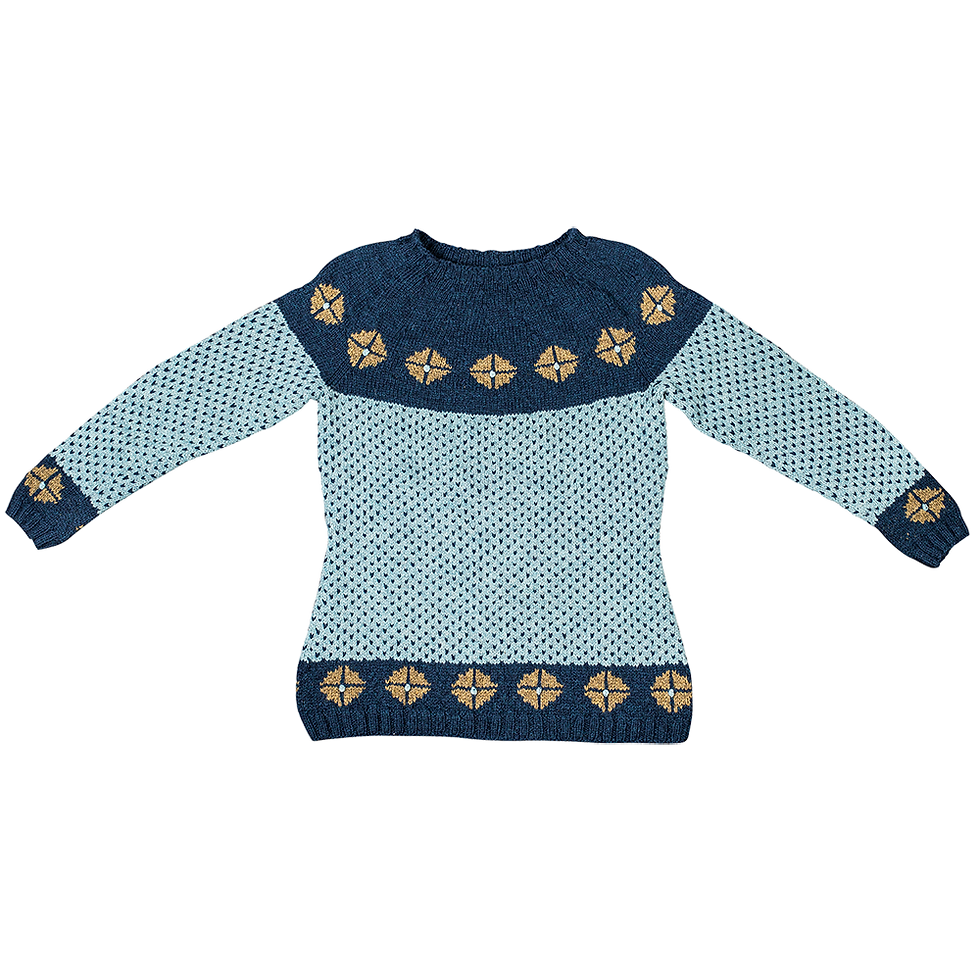 "Rigger” Sweater with Yoke – Dark blue/light blue/brown rosettes