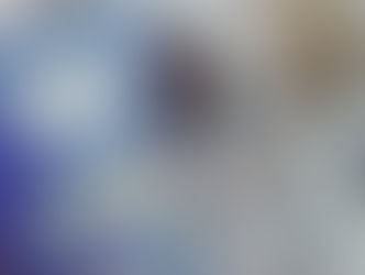 Nunca na floresta...