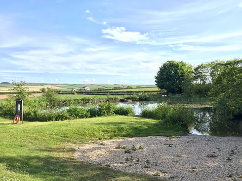 Lake View.jpeg