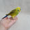 Thumbnail: Needle felted birds, Felted birds Green parrot Needle felted toys Handmade