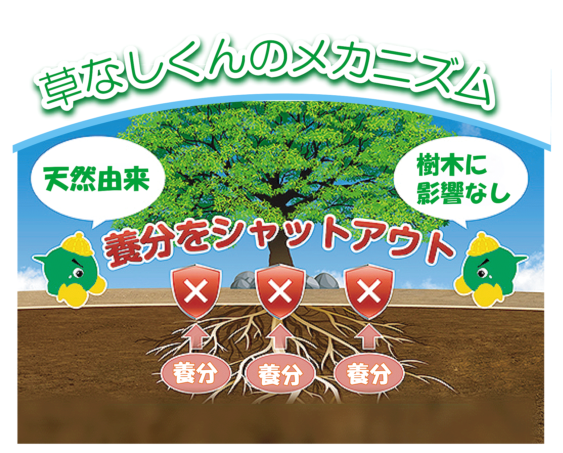 メカニズム.gif