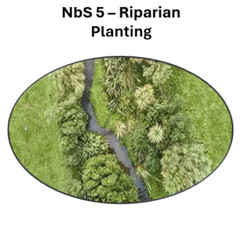 An aerial view looking directly down on a short section of a stream, with the banks for the stream and a five to ten metre buffer from the stream heavily vegetated with native plants; above the image are the words 'NbS - 5 Riparian Planting'.