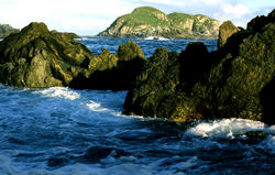 Cape St James-George2