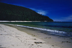 woodruff bay