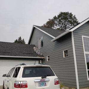 Specialized Installations