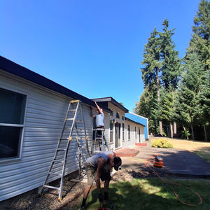 Professional Painting