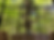 VRBDkfdMQOibabSQCfXDvA_edited_edited.png