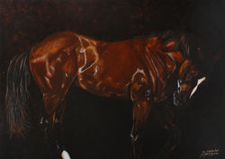 " The Contender "