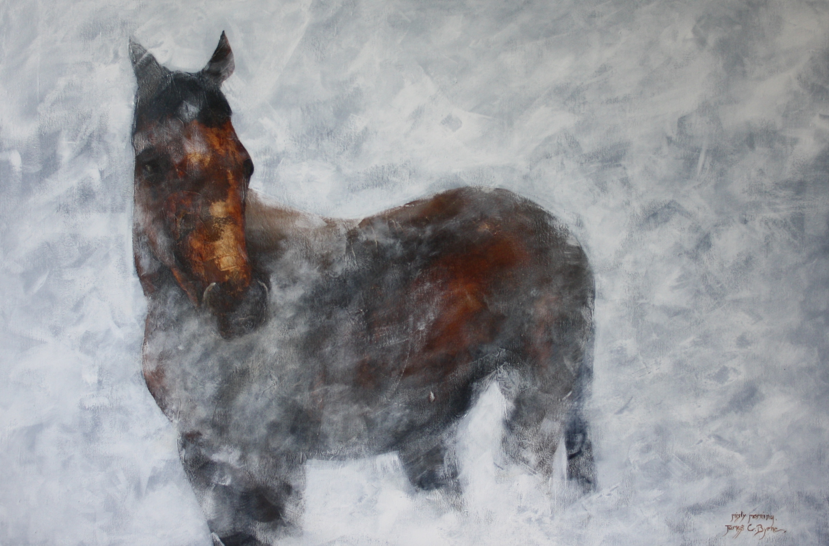 Misty Morning 500 €