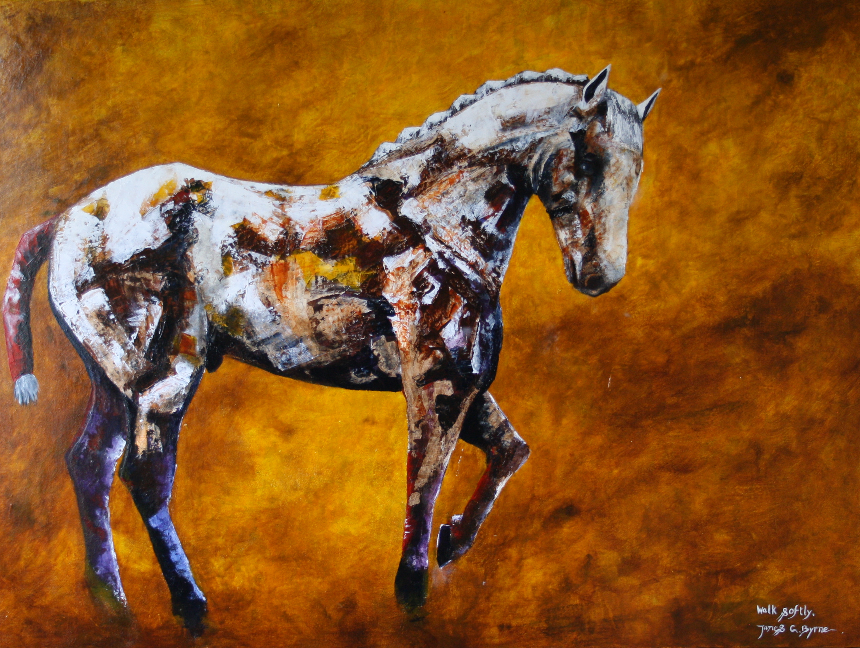 Walk Softly 870 €