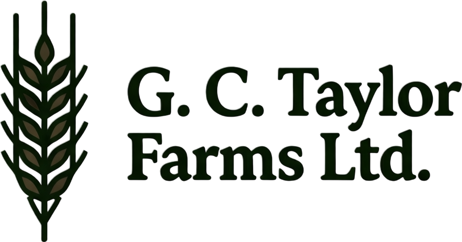 ai-generated-IMAGE.png