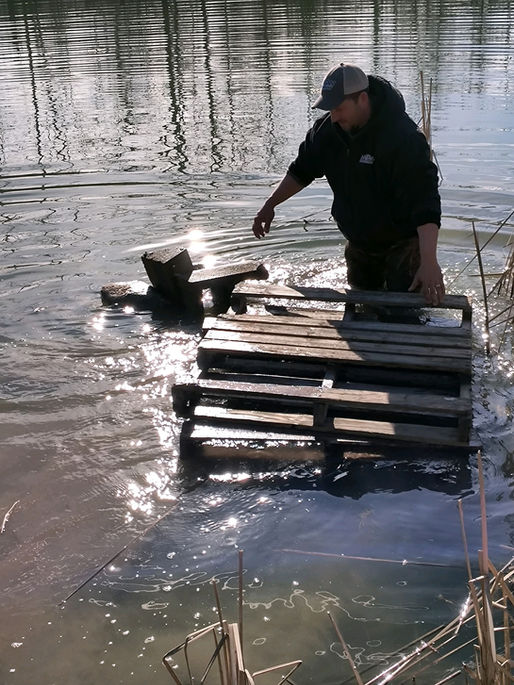 A Nest for Our Geese (click here to read the rest of the story)