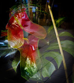 Flower Shop Hawaii Reflection