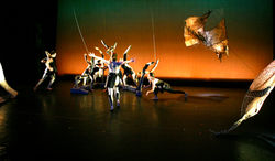 Tamara_Design_Scrap_Dance_NYU_Openin