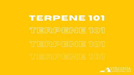 A Guide to Terpenes at Virginia Dispensaries