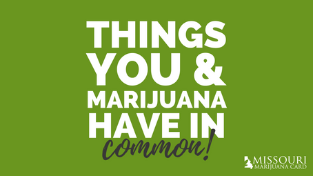 Things You and Cannabis Have in Common