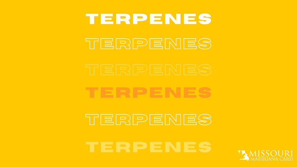 Terpenes in Missouri