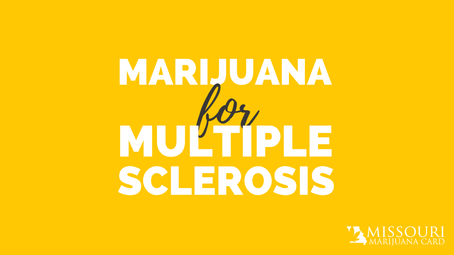 How Many People in Missouri Use Medical Marijuana for MS? More Than You May Think