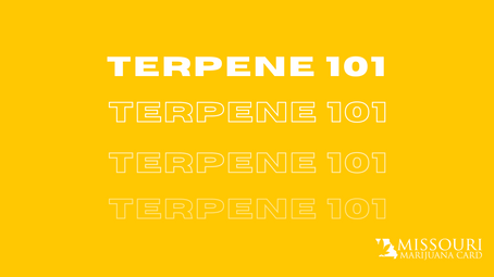 Terpenes: What are They, and Which Ones Should You Look For at Missouri Dispensaries?
