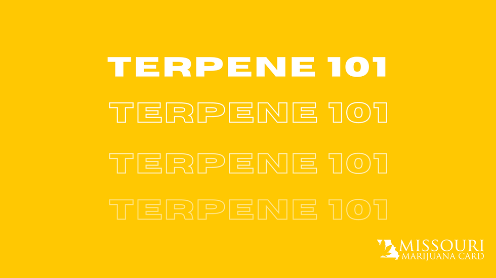 Terpene 101