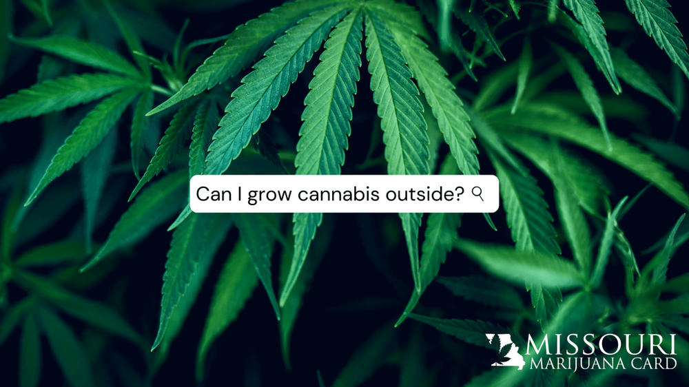Getting Started Growing Marijuana Outside in Missouri Missouri