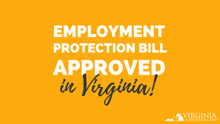 Northam Signs Bill Protecting Employees With a Virginia Marijuana Card