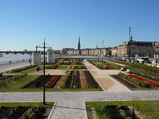 20090525_170920_vegetaux.jpg