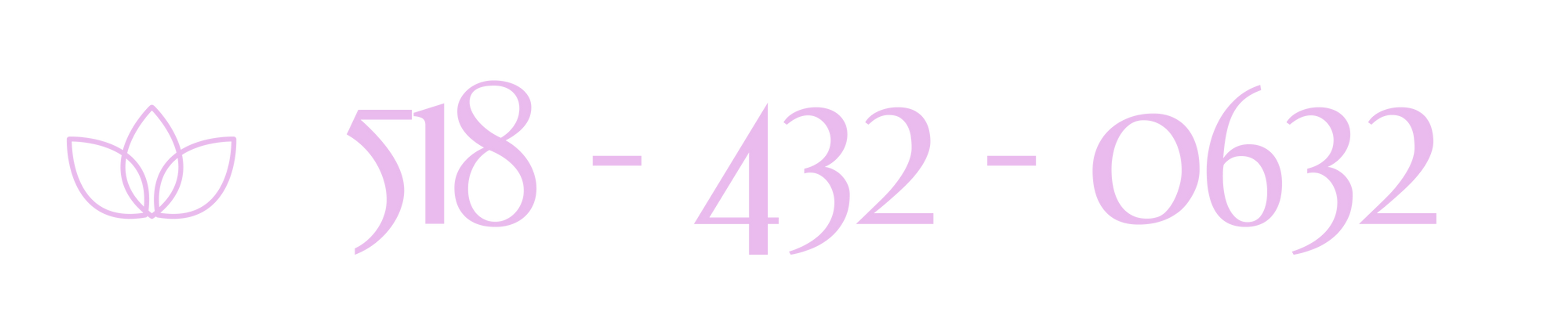 518 432 0632