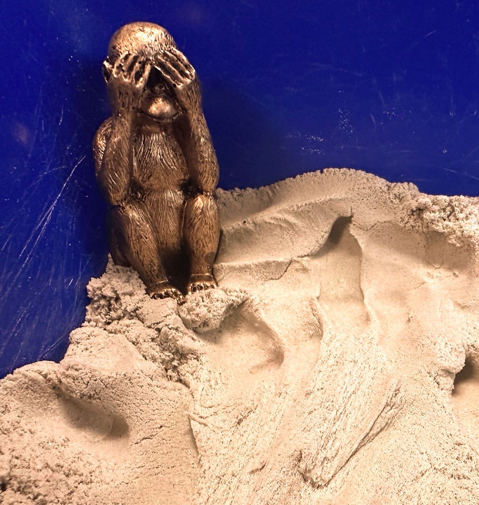 thumbnail_IMG_7891_edited_edited